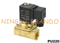 1/8'' PU220-01 1/4'' PU220-02 Messing Magneetventiel Voor Water 220V AC 24V DC