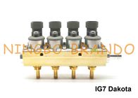 SPOORtype IG7 Dakota Navajo Injecteursspoor 2 Ohm 4 het Lichaam van het Cilinderaluminium voor LPG CNG