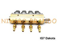 SPOORtype IG7 Dakota Navajo Injecteursspoor 2 Ohm 4 het Lichaam van het Cilinderaluminium voor LPG CNG