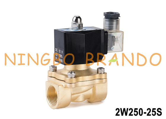 2W250-25 1'' 2 Way normaal gesloten Messing watersolenoïde klep 24V 220V