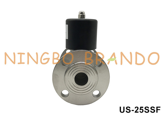 DN25 Flanke Warmwater Stoom roestvrij staal solenoïde klep 1'' 220VAC 24VDC