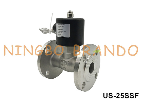 DN25 Flanke Warmwater Stoom roestvrij staal solenoïde klep 1'' 220VAC 24VDC