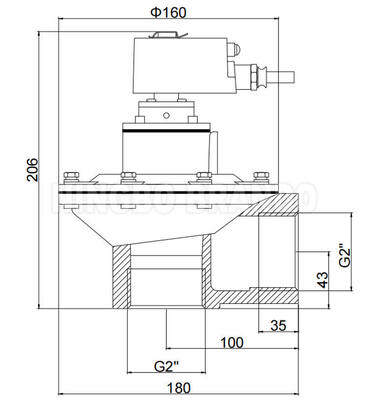 BFEC 2'' DMF-Z-50S met explosieveilige spoel 24VDC 220VAC