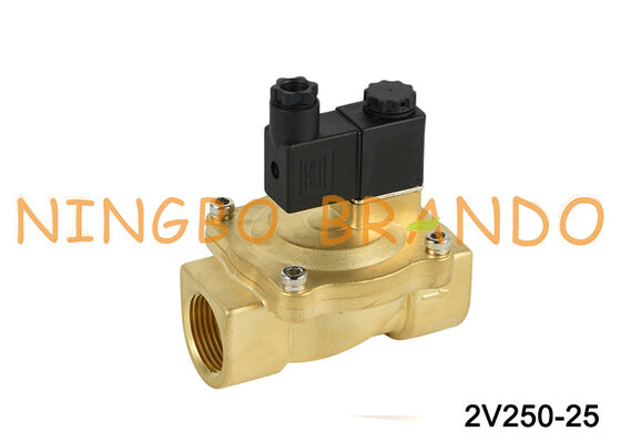 Airtac Type 2V250-25 2-weg magneetventiel Luchtkleppen AC220V 110V DC12V 24V