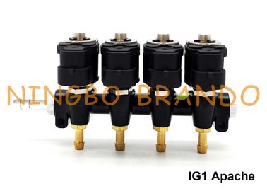 Het Type van IG1 Apache OMB de Cilinders van het Spoorinjecteurs HD 4 van LPG/van CNG 3 Ohms van DC12V