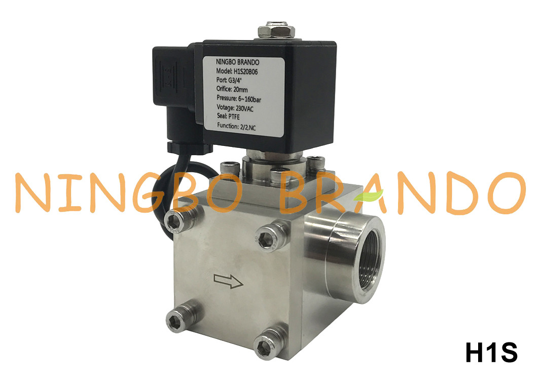 1' Hoogdruks water-lucht-solenoïde klep 120 bar 12V 24V 160 bar 110V 220V