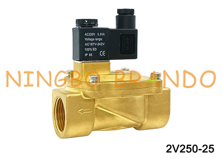Airtac Type 2V250-25 2-weg magneetventiel Luchtkleppen AC220V 110V DC12V 24V