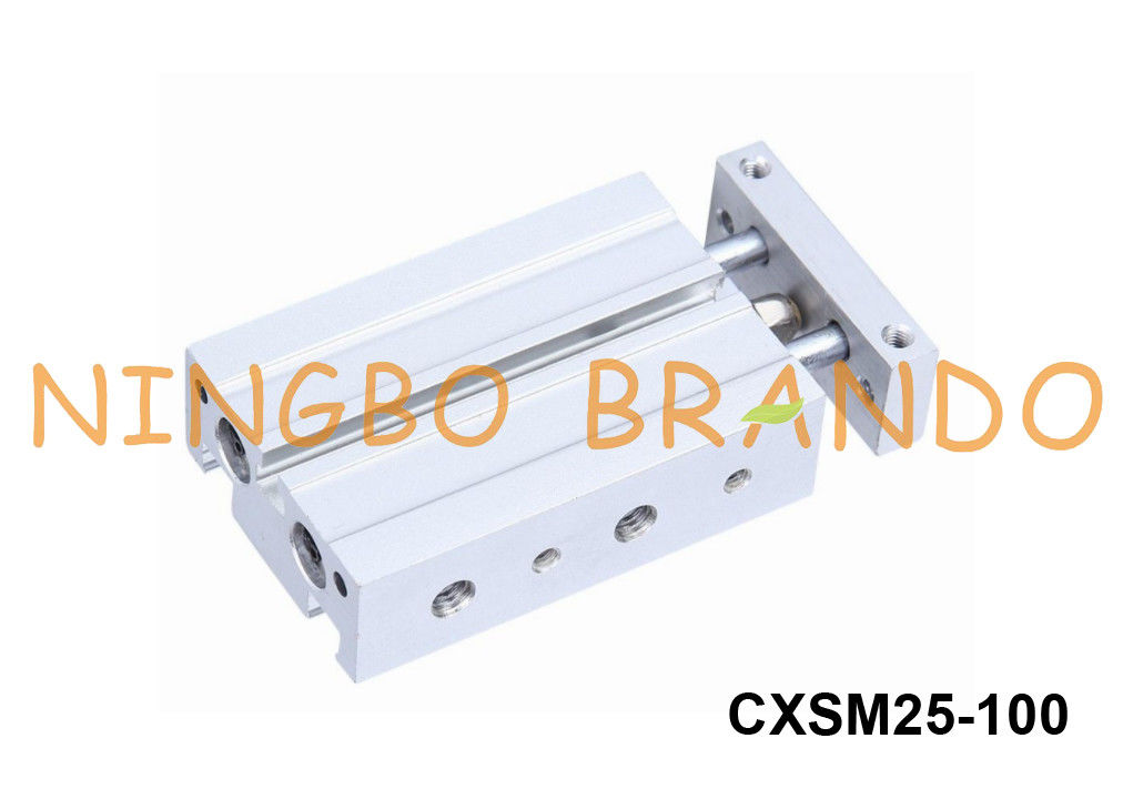 SMC-Type CXSM25-100 Dubbel Rod Air Cylinder Pneumatic 25mm droeg