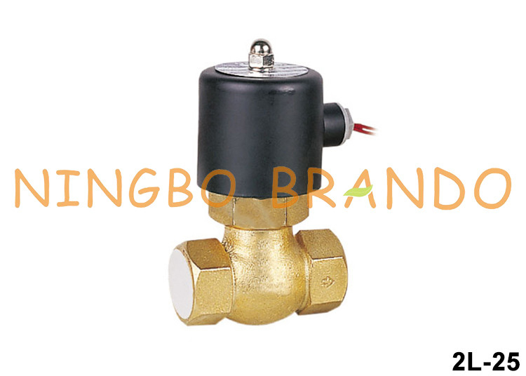 Klep van de het Messingssolenoïde van 2L-25 V.S.-25 1“ DN25 voor Stoom 24V 220V