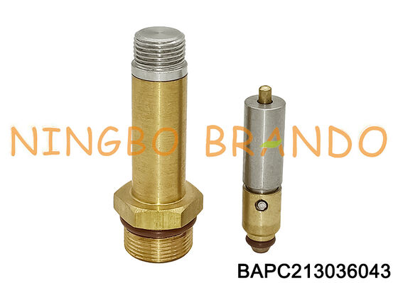 13 mm OD M17 draad magneetventielanker voor LPG CNG-reparatieset