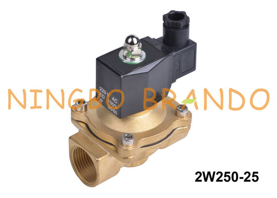 2W250-25 1“ Manier 2 sloot normaal de Solenoïdeklep 24V 220V van het Watermessing